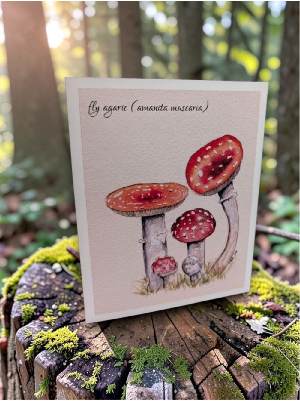 12 Watercolor Notecards Mushroom Series 4.25 x 5.5 - Picture 6 of 8